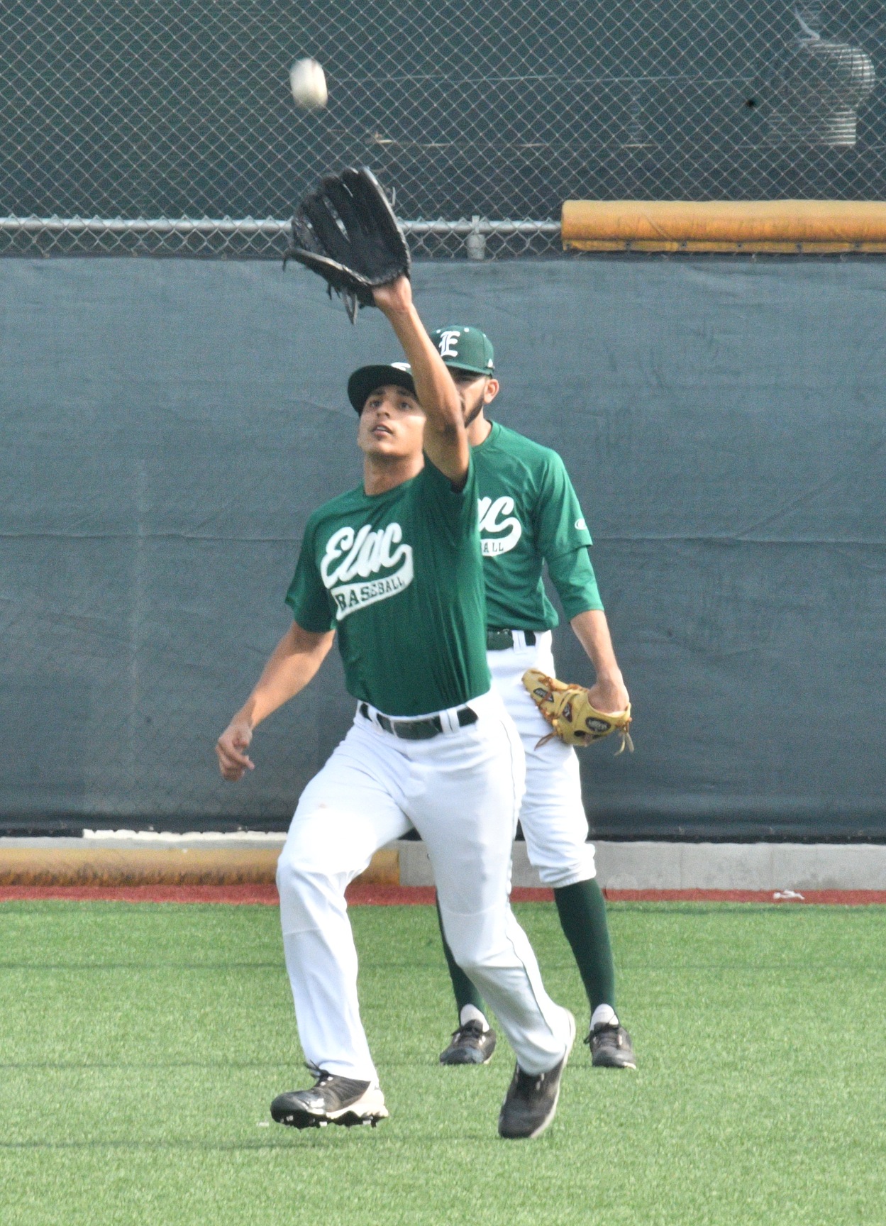 ELAC vs. Citrus