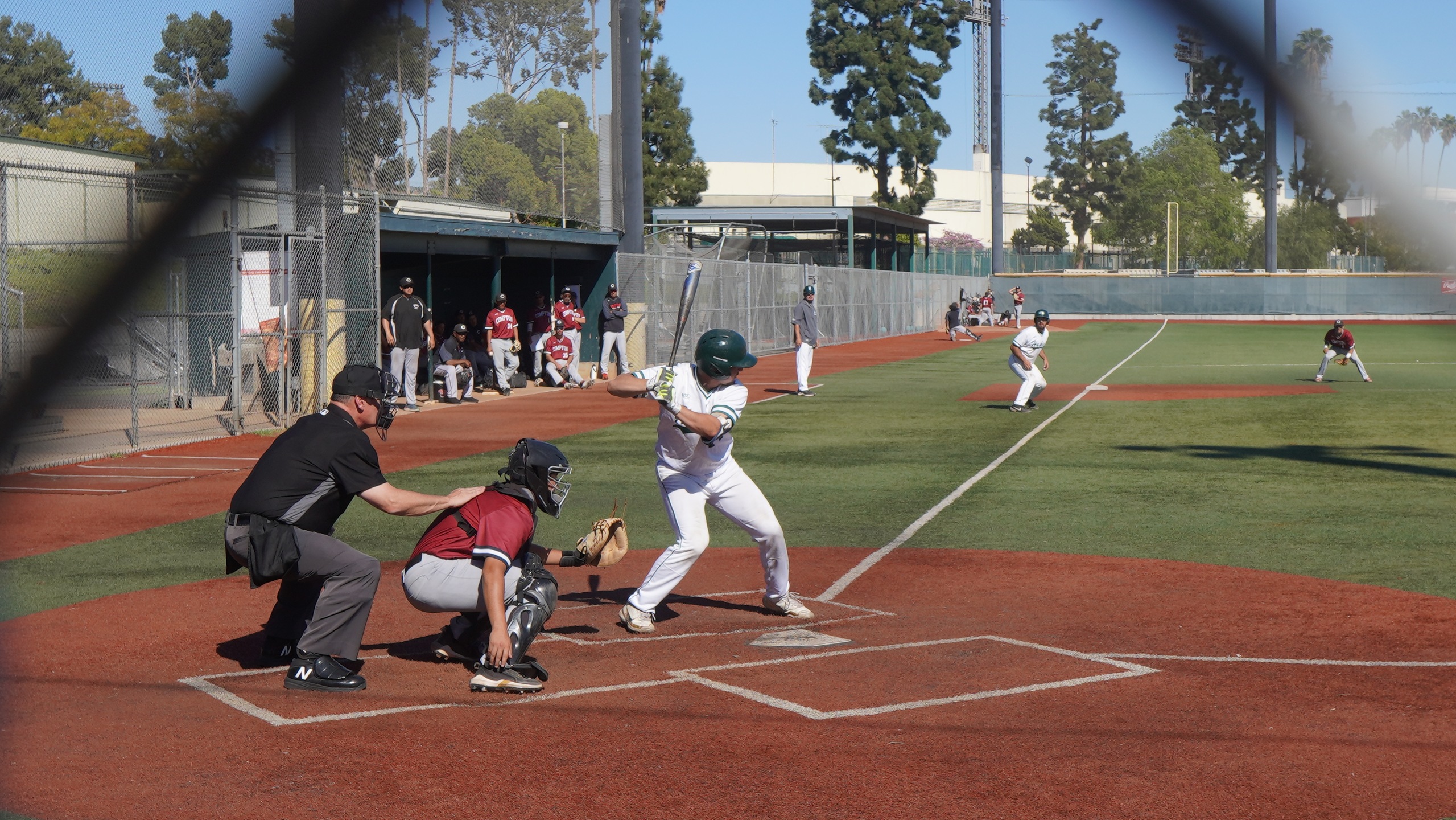 Baseball Mid-Season Report