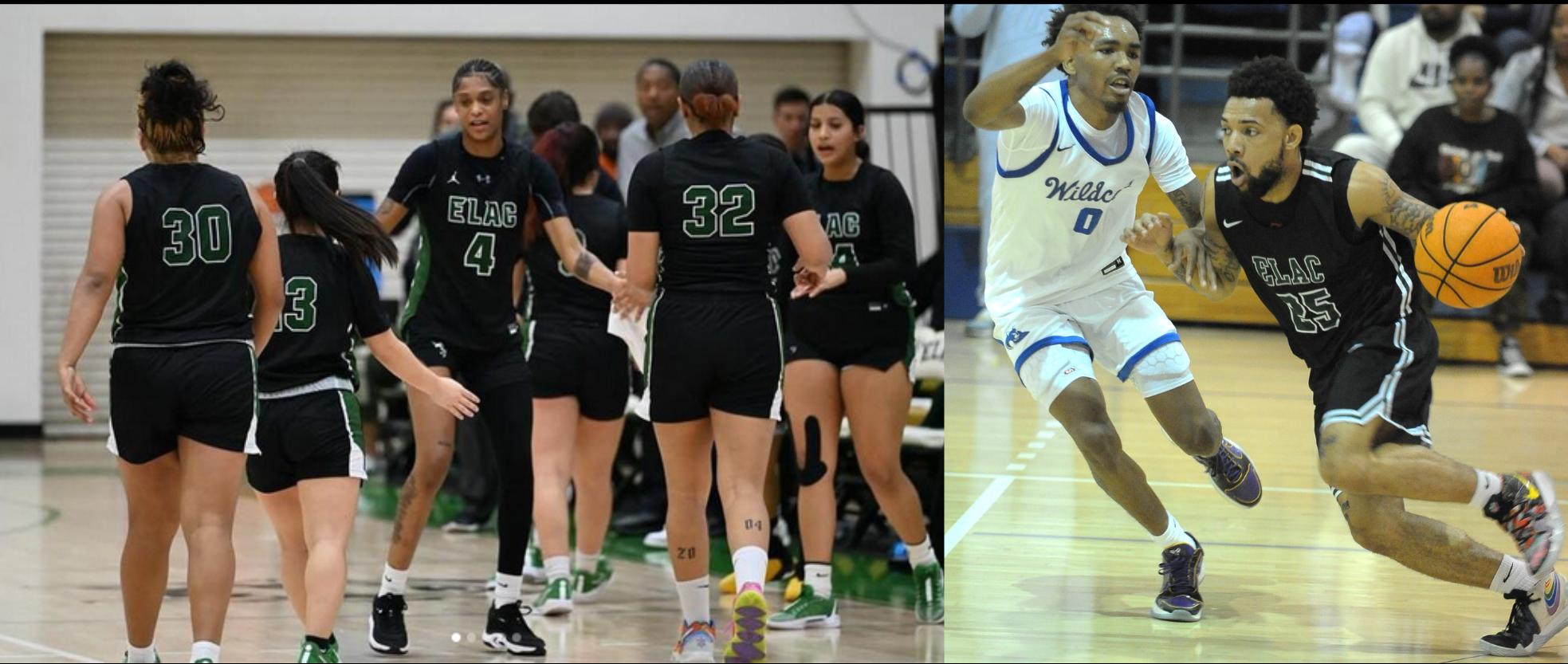 Basketball Wrap-Up: Men, Women Playoff Push Ends in Second Round