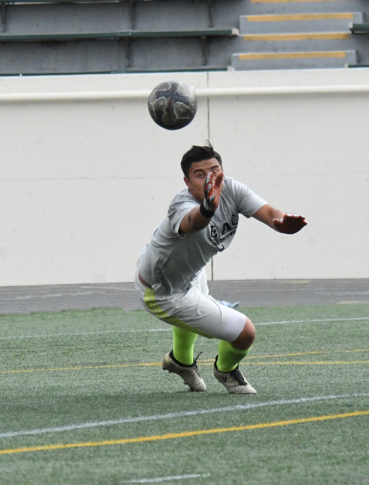 ELAC vs. Chaffey