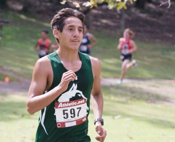 Ask A Husky: Track & Field