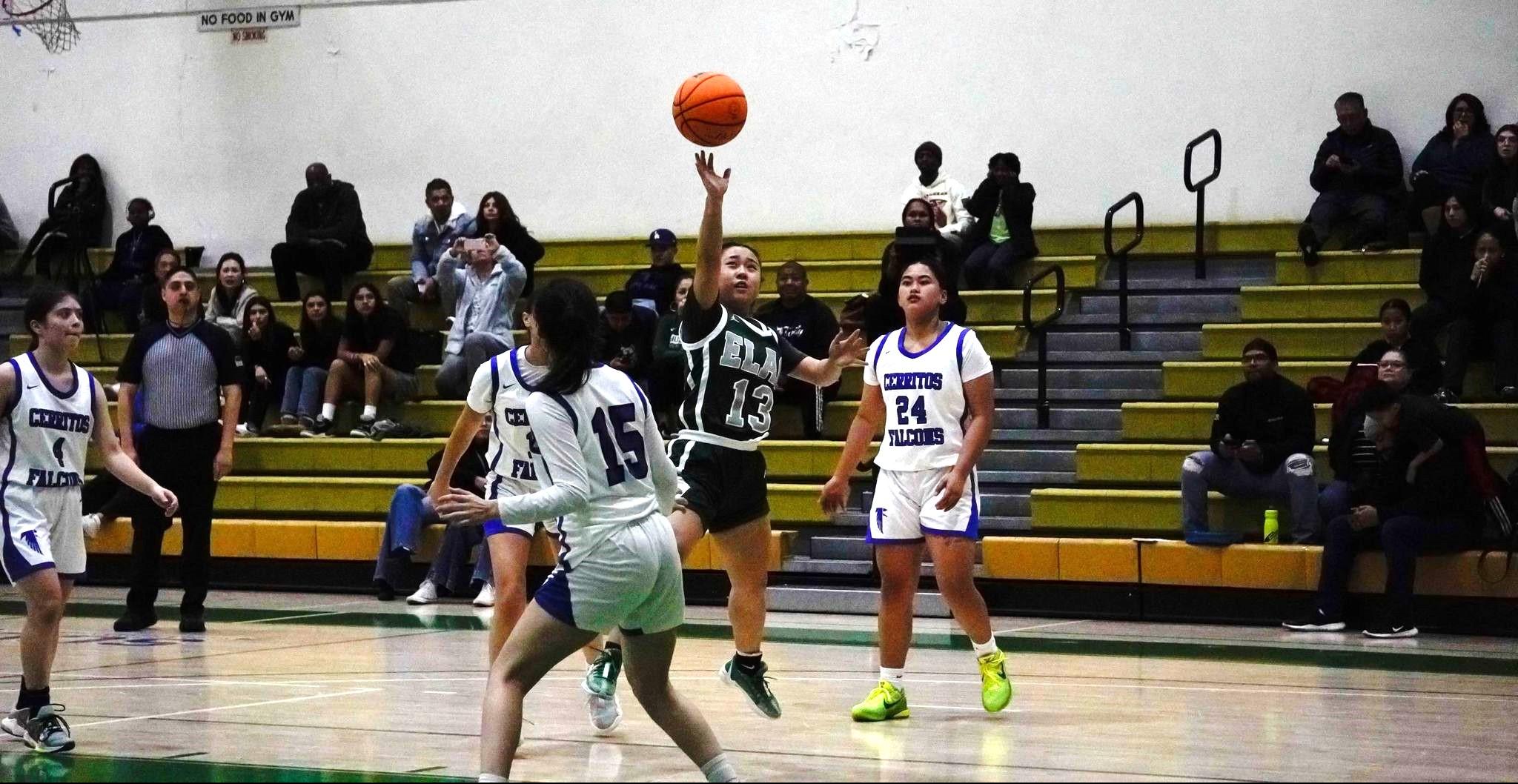 Huskies End Losing Skid by Grounding the Falcons