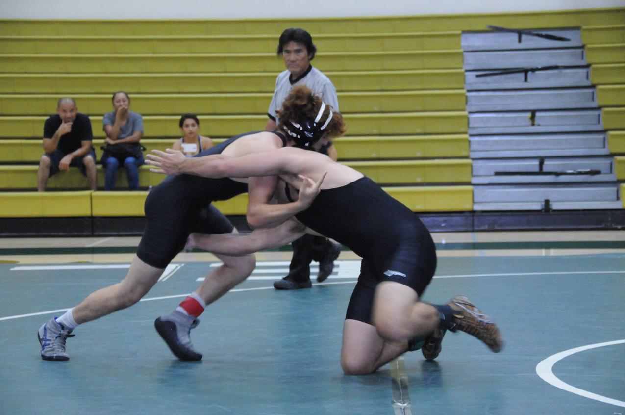 Green and White Dual