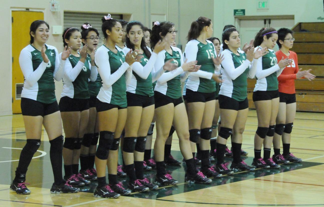 2013 Season Preview