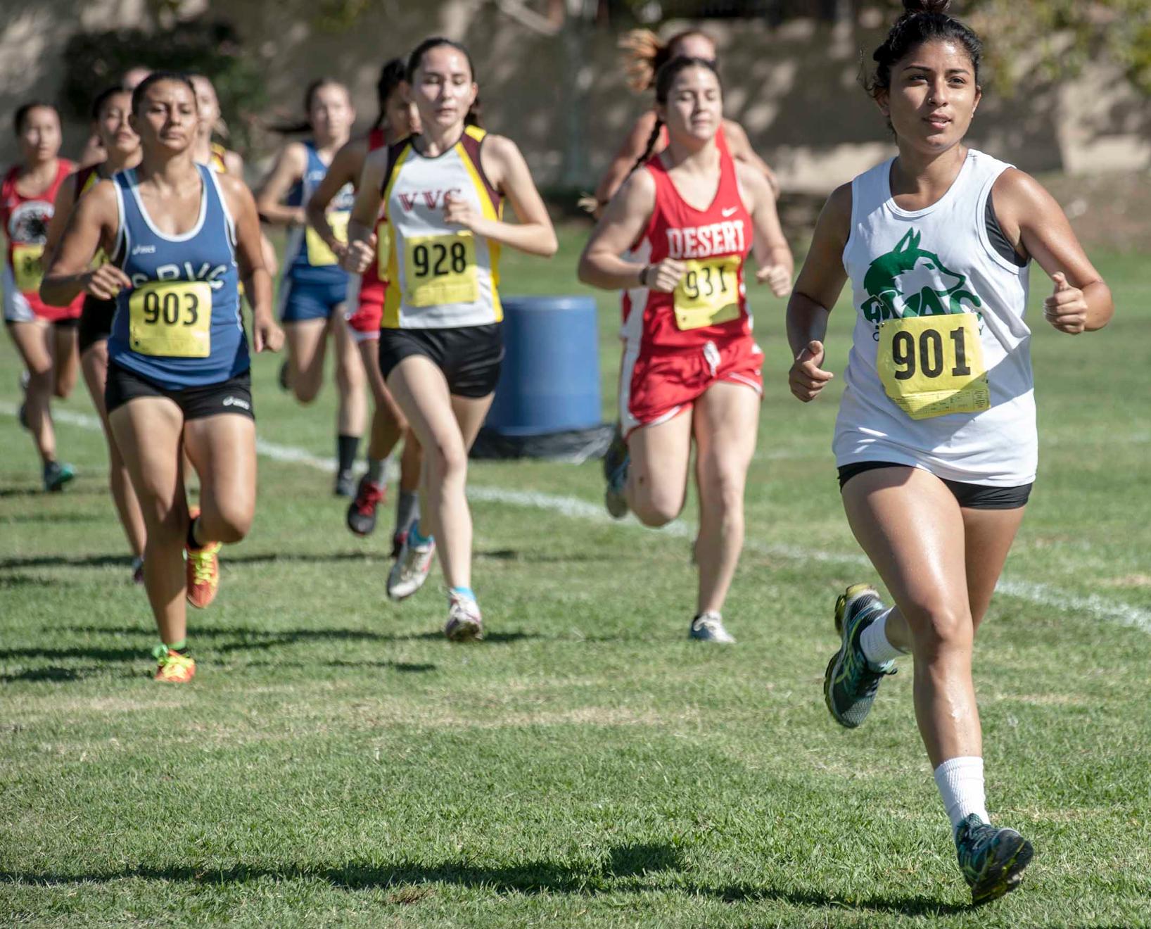 Women&rsquo;s cross country gains experience
